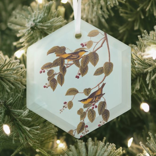 Koolzuurkool Glas Ornament (Insitu)