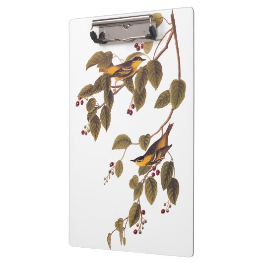 Koolzuurkool Klembord (Links)