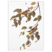 Koolzuurkool Klembord (Achterkant)