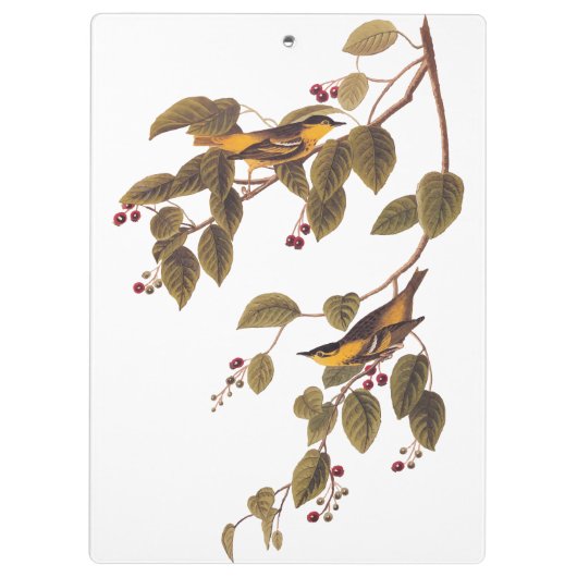 Koolzuurkool Klembord (Achterkant)