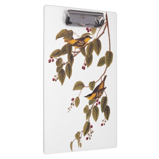 Koolzuurkool Klembord (Rechts)