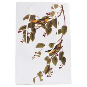 Koolzuurkool Medium Cadeauzakje