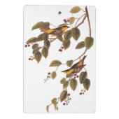 Koolzuurkool Mini Klembord (Achterkant)