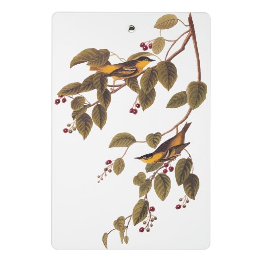 Koolzuurkool Mini Klembord (Achterkant)