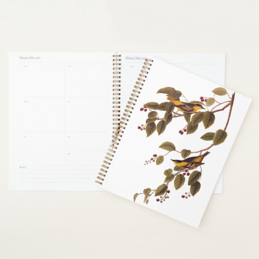 Koolzuurkool Planner (Display)