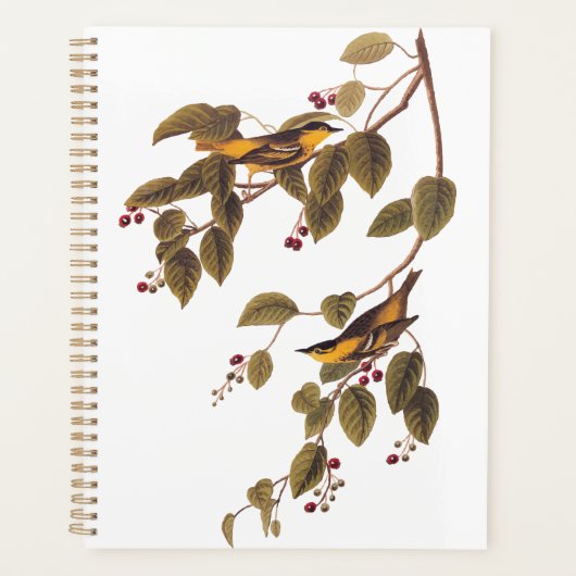 Koolzuurkool Planner (Voorkant)