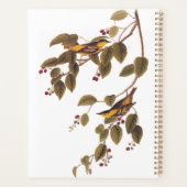 Koolzuurkool Planner (Achterkant)