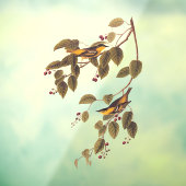 Koolzuurkool Raamsticker (Vel 3)