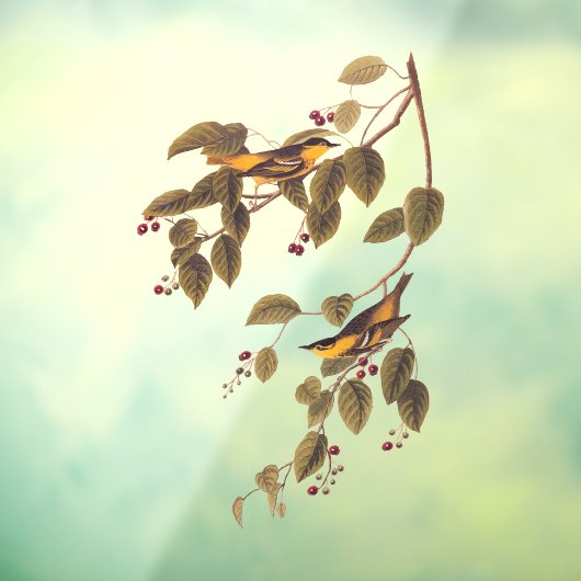 Koolzuurkool Raamsticker (Vel 3)