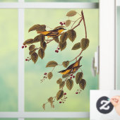 Koolzuurkool Raamsticker (Huis)