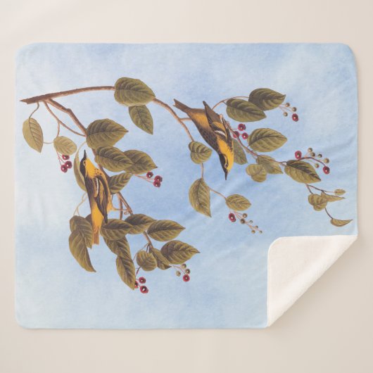 Koolzuurkool Sherpa Deken (Voorkant (horizontaal))