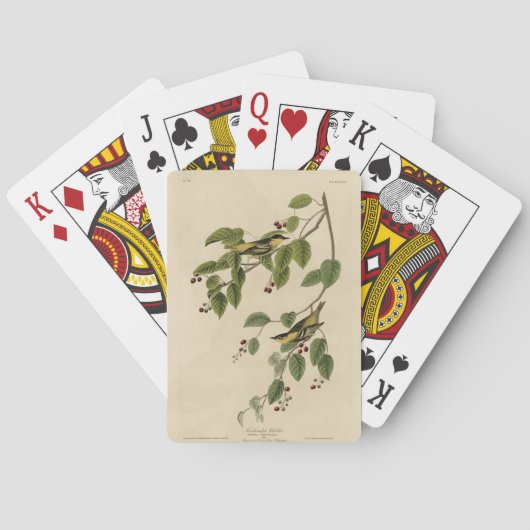 Koolzuurkool uit de Amerikaanse vogels van Audubon Pokerkaarten (Achterkant)