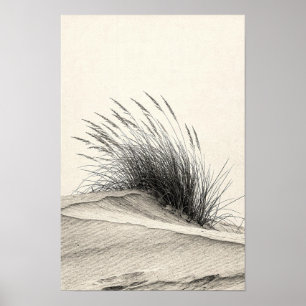 Koolzwart Duingras Monochroom Natuur Poster