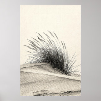 Koolzwart Duingras Monochroom Natuur Poster