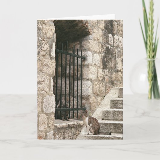 "koop me op" Kaart (spatie binnen) (Voorkant)