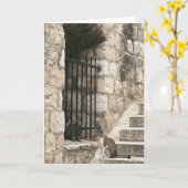 "koop me op" Kaart (spatie binnen) (Gele Bloem)