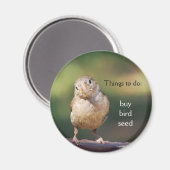 'koop vogelzaad' Magneet (Voorkant / Achterkant)