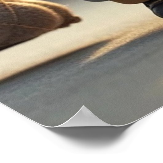 koopmansverhaal poster (Hoek)