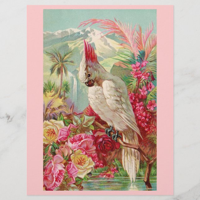 Kooproze rozen (Voorkant)