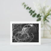 Koord Briefkaart (Staand voorkant)