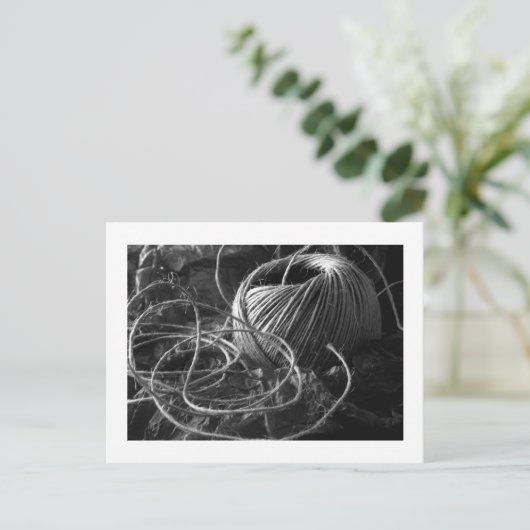 Koord Briefkaart (Staand voorkant)