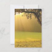Koord van de Rustic Herfst van de Lichten Boom Vin Bedankkaart (Achterkant)