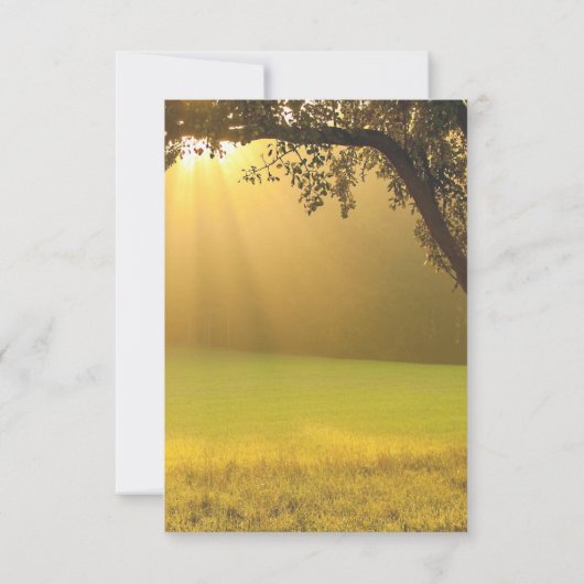 Koord van de Rustic Herfst van de Lichten Boom Vin Bedankkaart (Achterkant)