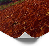 Koord van de tijd van 500 miljoen jaren poster (Hoek)