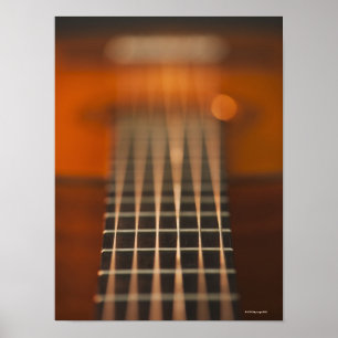 Koorden van de akoestische gitaar poster