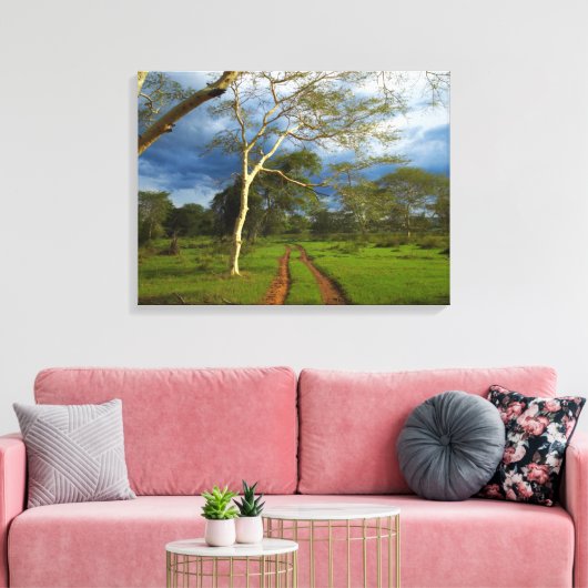 Koortsboom (Acacia Xanthophloea) met vuil spoor Canvas Afdruk (Insitu (Woonkamer))