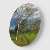 Koortsboom (Acacia Xanthophloea) met vuil spoor Grote Klok (Hoek)