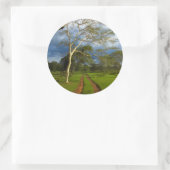 Koortsboom (Acacia Xanthophloea) met vuil spoor Ronde Sticker (Tas)