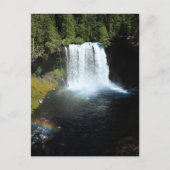 Koosah Herfsten Oregon Waterfall Briefkaart (Voorkant)