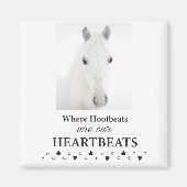 Kootenai magnet (Voorkant)