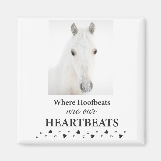 Kootenai magnet (Voorkant)