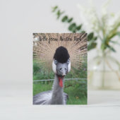 Kop! Briefkaart (Staand voorkant)