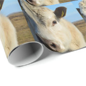 Kop dicht cadeaupapier (Rol Hoek)