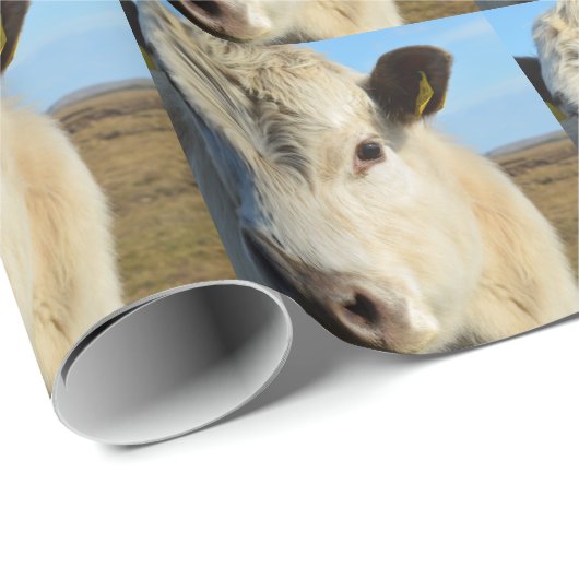 Kop dicht cadeaupapier (Rol Hoek)