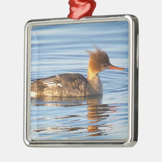 Kop-eend Ornament (Links)