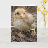 Kop in de tuin kaart (Gele Bloem)