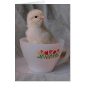 Kop in Teacup (Voorkant)