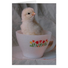 Kop in Teacup
