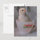 Kop in  Teacup Briefkaart (Voorkant / Achterkant)