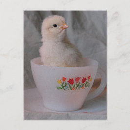 Kop in Teacup Briefkaart