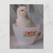 Kop in  Teacup Briefkaart (Voorkant)