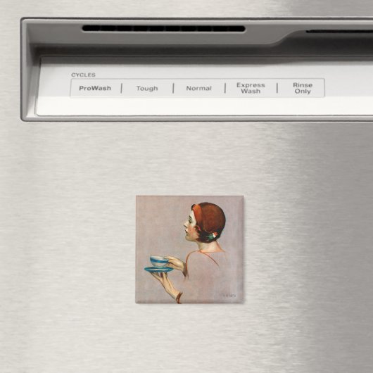 Kop Java Magneet (Insitu (Vaatwasser))