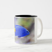 Kop met Lucky Fish (Voorkant rechts)