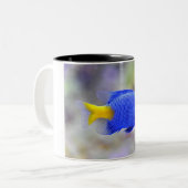 Kop met Lucky Fish (Voorkant links)