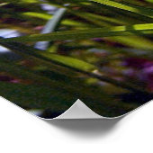 Kop op Buttercup Poster (Hoek)