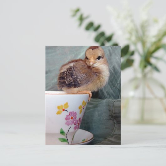 Kop op Cup Briefkaart (Staand voorkant)